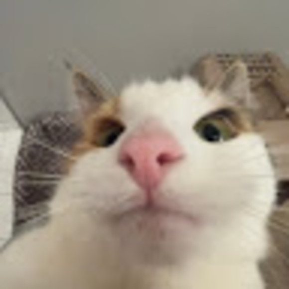 poofunicorn56